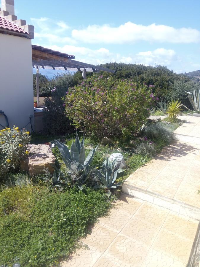 Terramara Apartment Nohia Exterior foto